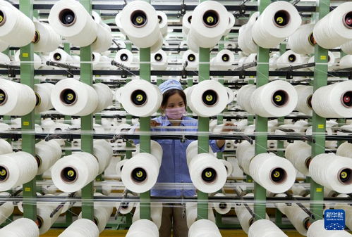 新華全媒 丨河南傳統(tǒng)產(chǎn)業(yè)向“新”而行 以環(huán)保科技開辟轉(zhuǎn)型新賽道